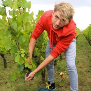 Plongée dans les vignes départementales pour les élèves du nouveau lycée agro-écologique