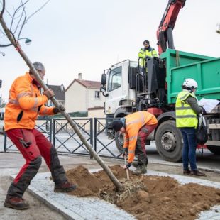 Heureux comme un arbre en ville