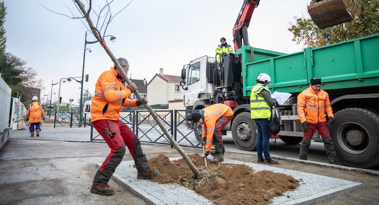 Heureux comme un arbre en ville