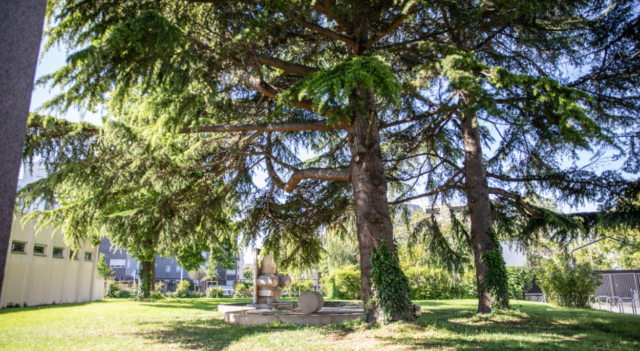 Des cours d’écoles transformées en «Oasis»