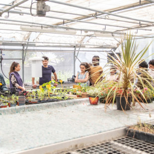 Un collège qui réinvente l’art des jardins