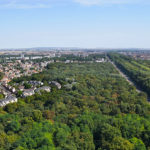 Découvrez les lauréats de l’appel à projets Forêt urbaine 2023 !