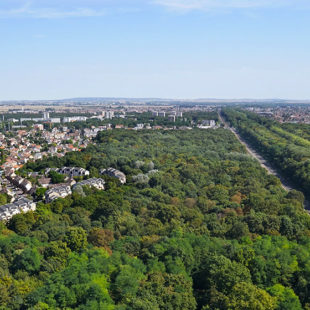 Découvrez les lauréats de l’appel à projets Forêt urbaine 2023 !