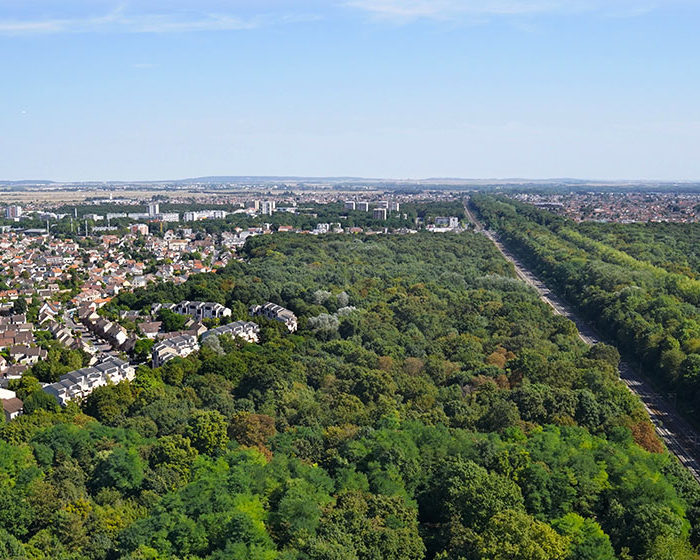 Découvrez les lauréats de l’appel à projets Forêt urbaine 2023 !