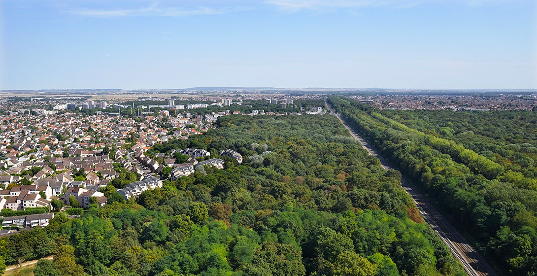 Découvrez les lauréats de l’appel à projets Forêt urbaine 2023 !